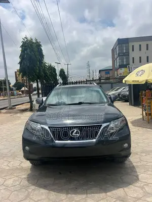 Lexus RX 350 2010 Gray