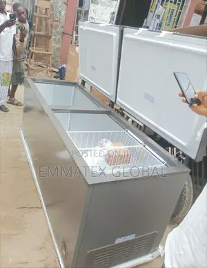 Biggest Double Door Freezer Hisense 702L