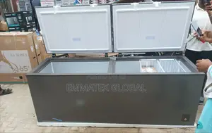 Biggest Double Door Freezer Hisense 702L