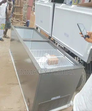 702L Fast Hisense Deep Freezer Double Door