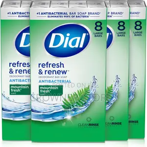 Dial Antibacterial Bar Soap, Refresh Renew, Mountain Fresh (1pack)