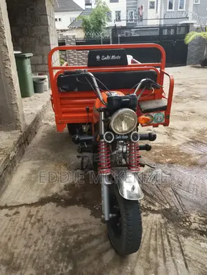 200L Salti Tricycle Truck