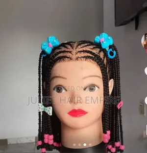 Braided Wigs