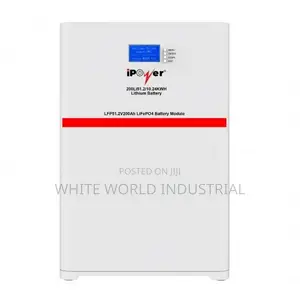Ipower Wall Mounted 10.24 KWH 51.2v Lifepo4 Iron Lithium Battery