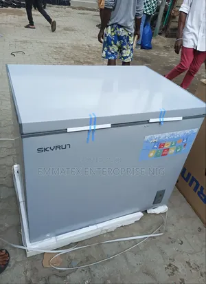Fast Deep Freezer Skyrun 260l