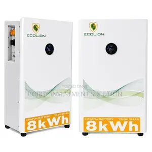 Ecolion 8kwh/24v Lithium Battery
