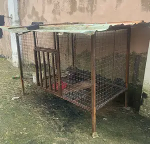Big Cage for Dogs and Other Animals