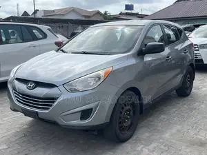 Hyundai Tucson 2011 Gray