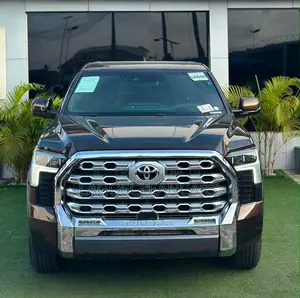 Toyota Tundra Platinum 2022 Brown