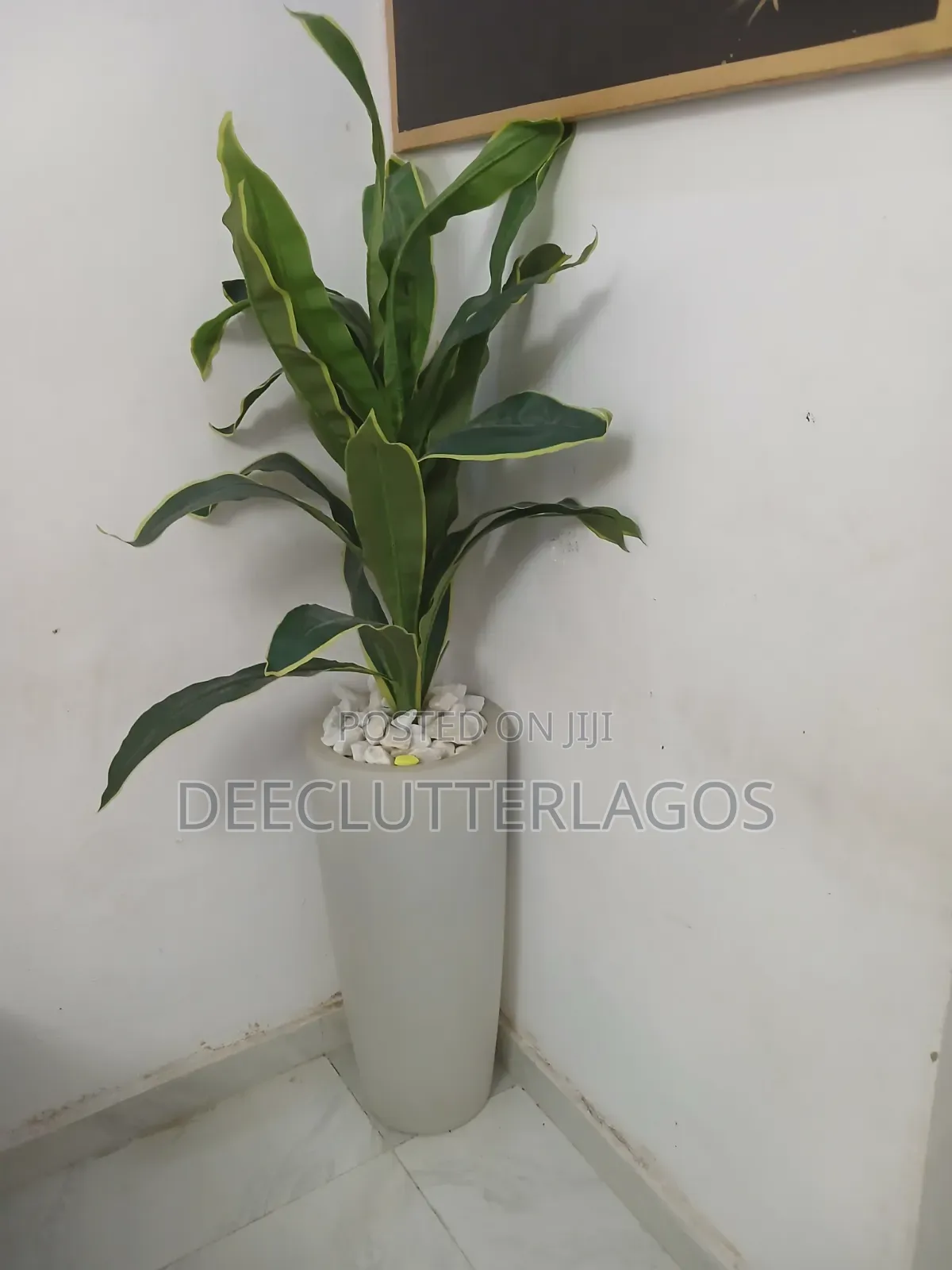 Planter Available