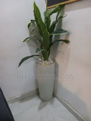 Planter Available