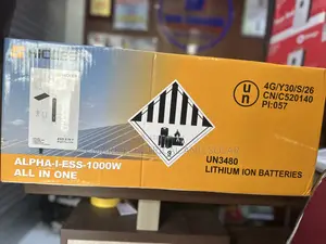 Hicess All in One 1000w Lithium Battery