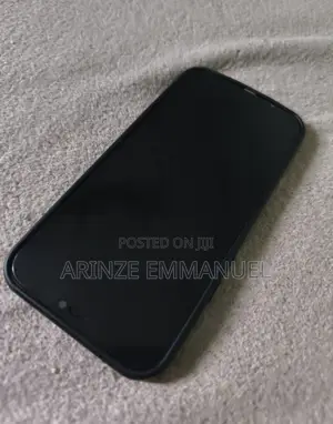 Apple iPhone 12 Pro Max 256 GB Gray