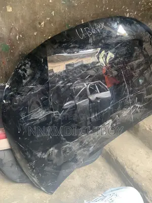 Toyota RAV4 2020 Bonnet Neat One