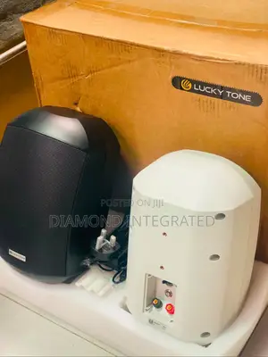 Lucky Tone Waterproof High Quality Wall Speakers