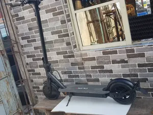 Adult Scooter 36v With Strong Battery Life