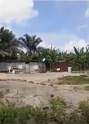 Prime Bare Land
