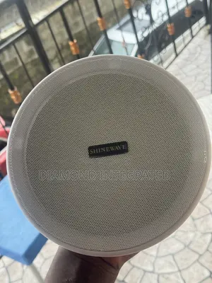 Ceiling Speaker 10 Watts