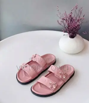 Louis v Slippers