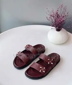 Louis v Slippers