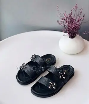Louis v Slippers