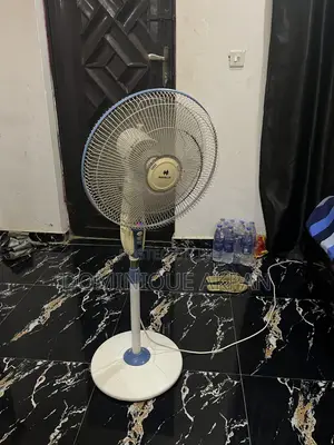 Standing Fan