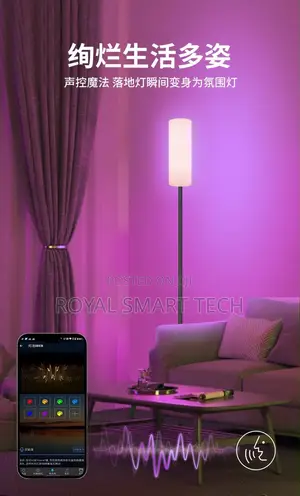 Smart Floor Lamp