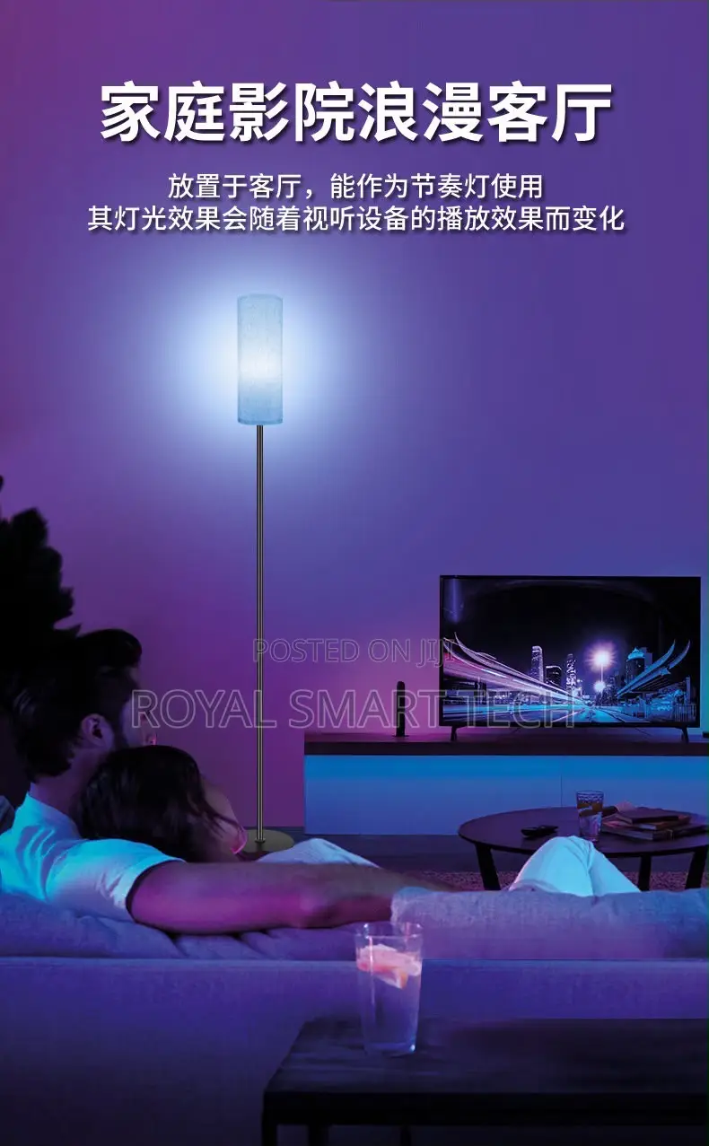 Smart Floor Lamp