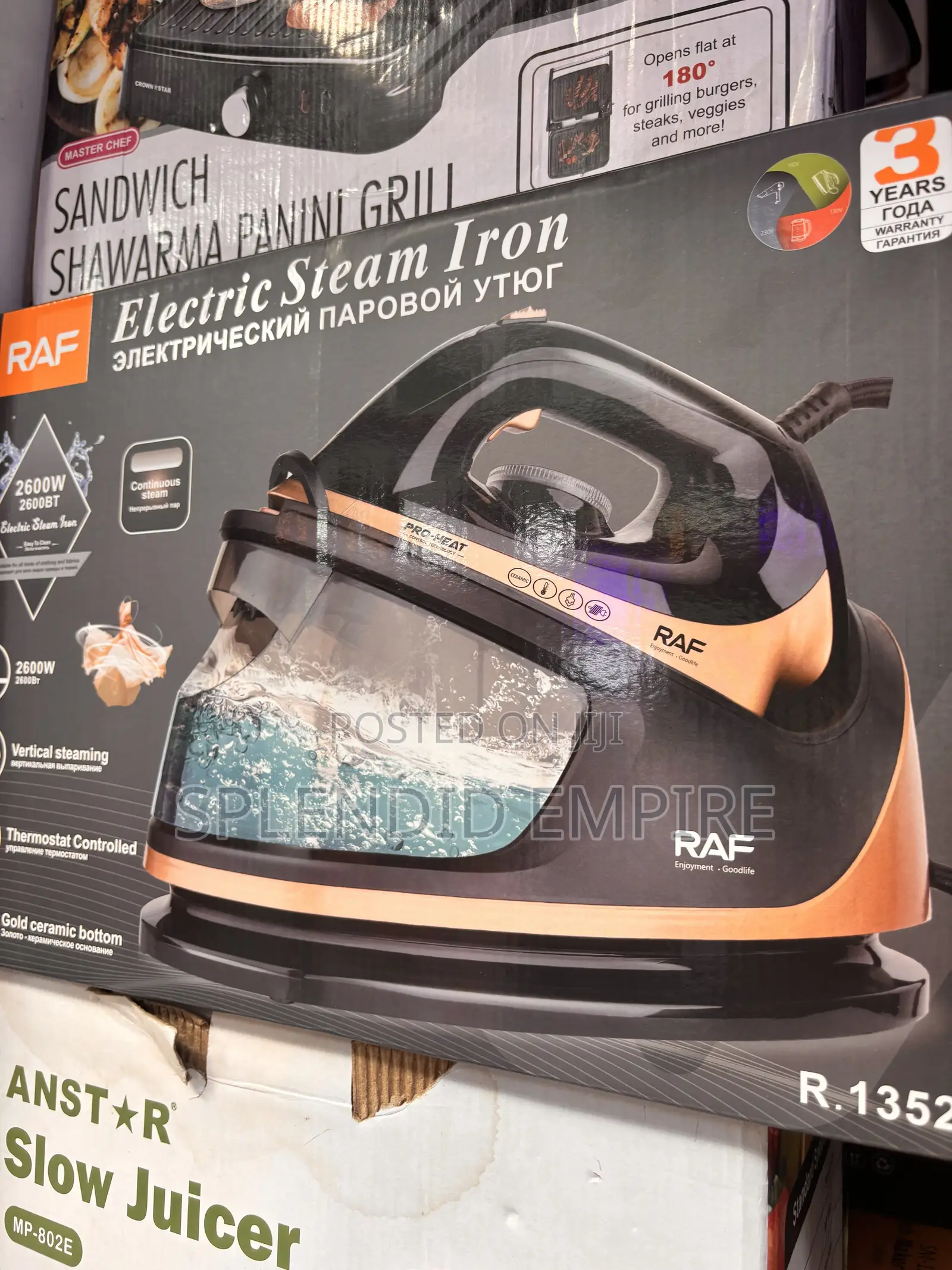 Electric Steam Iron