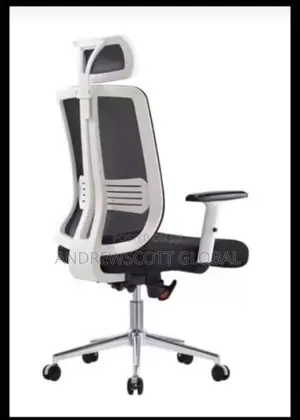Brand New Imported Executive Office Chair
