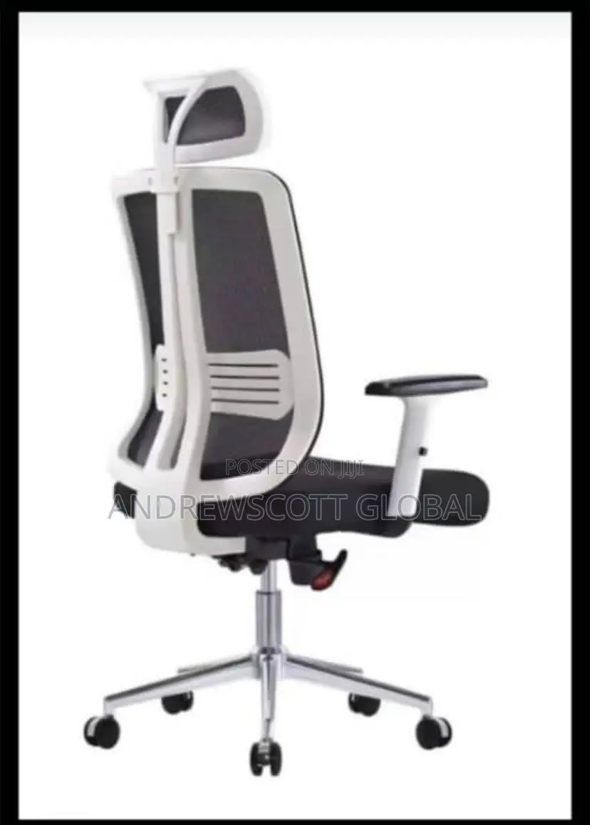 Brand New Imported Executive Office Chair