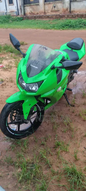 Kawasaki EX250 2010 Green