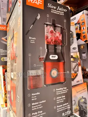 Electric Slow Juicer