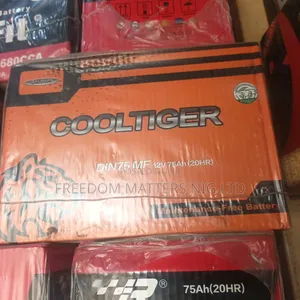 Car Battery Cool Tiger 75MF
