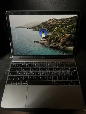 Laptop Apple MacBook 2015 8GB Intel Core M SSD 1T