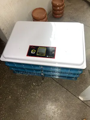 Egg Incubator (320 Pieces Capacity)