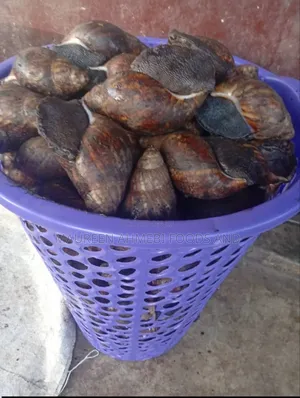 SNAIL Dehydrated and Fresh