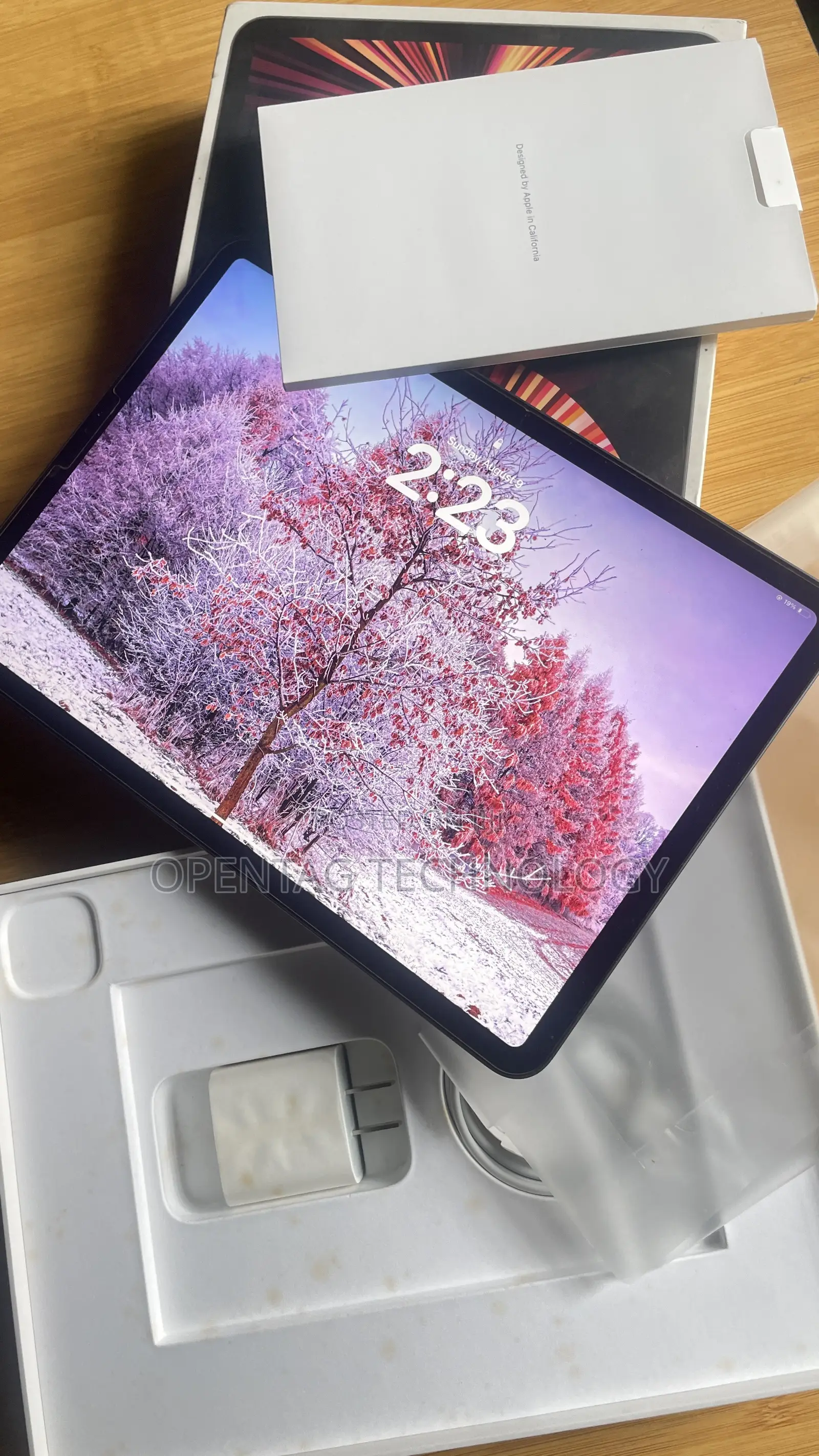 Apple iPad Pro 11 (2021) 128 GB Gray