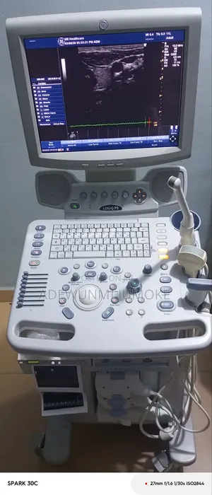 Ge Logiq P5