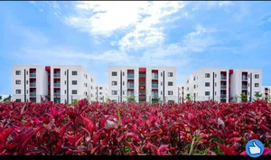 Alaro City