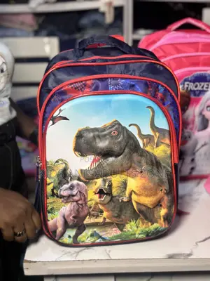 Primary Schol Cartoon Character School Bag