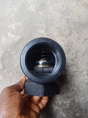 Original Angle Check Valve With Spring