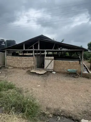 Pig Pen Property