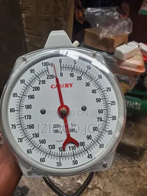 Original 100kg Hanging Scales
