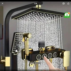 Gold Shower Hot and Cold Shower