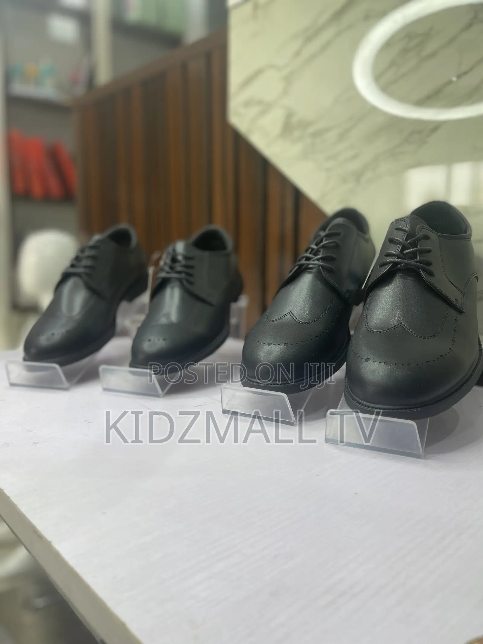 Conoli School Shoe