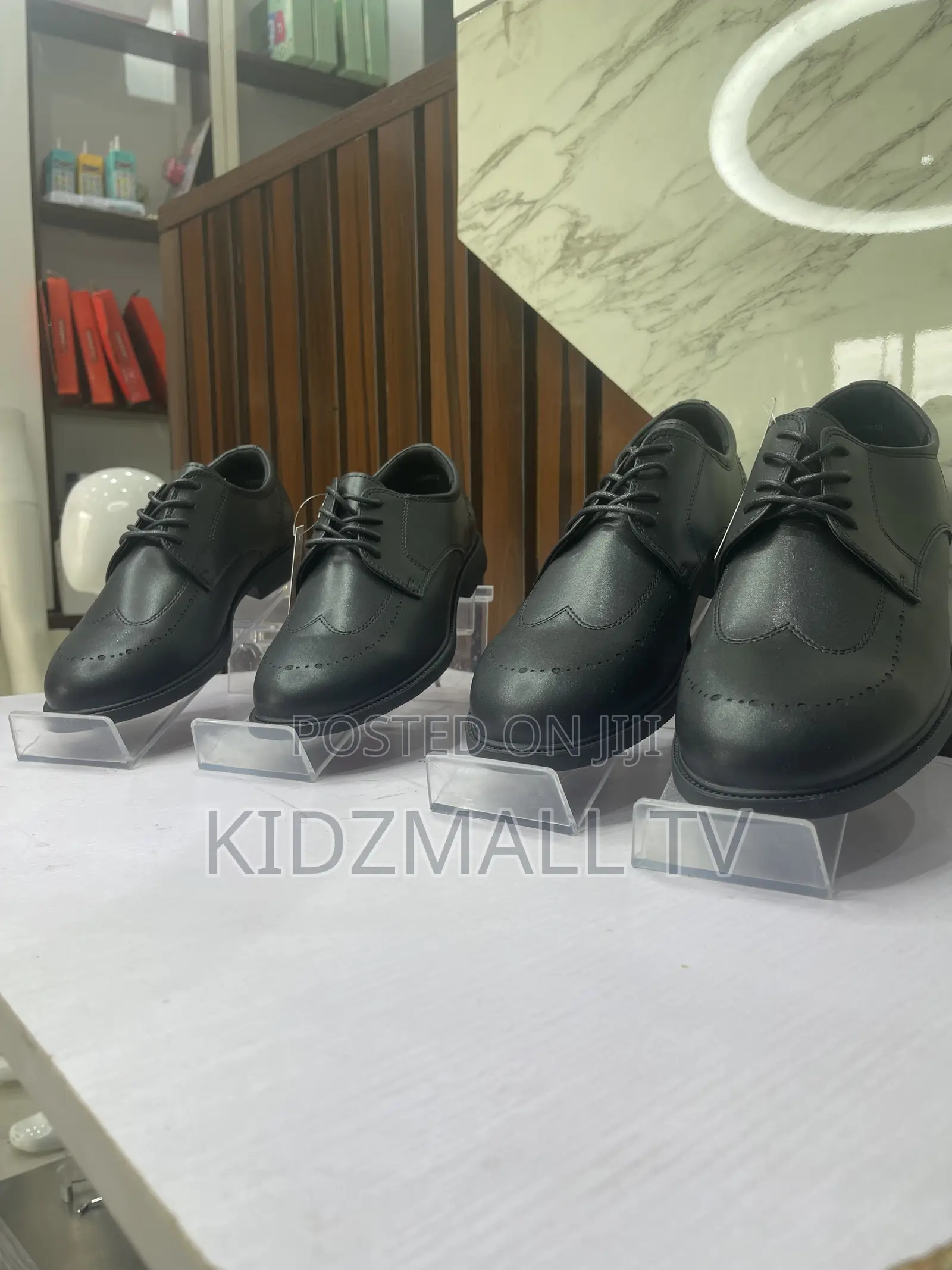 Conoli School Shoe