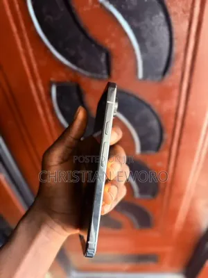 Google Pixel 9 Pro XL 256 GB Graphite