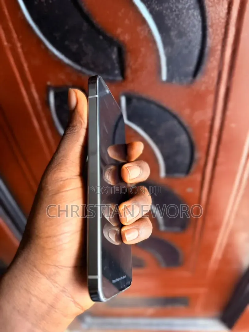 Google Pixel 9 Pro XL 256 GB Graphite