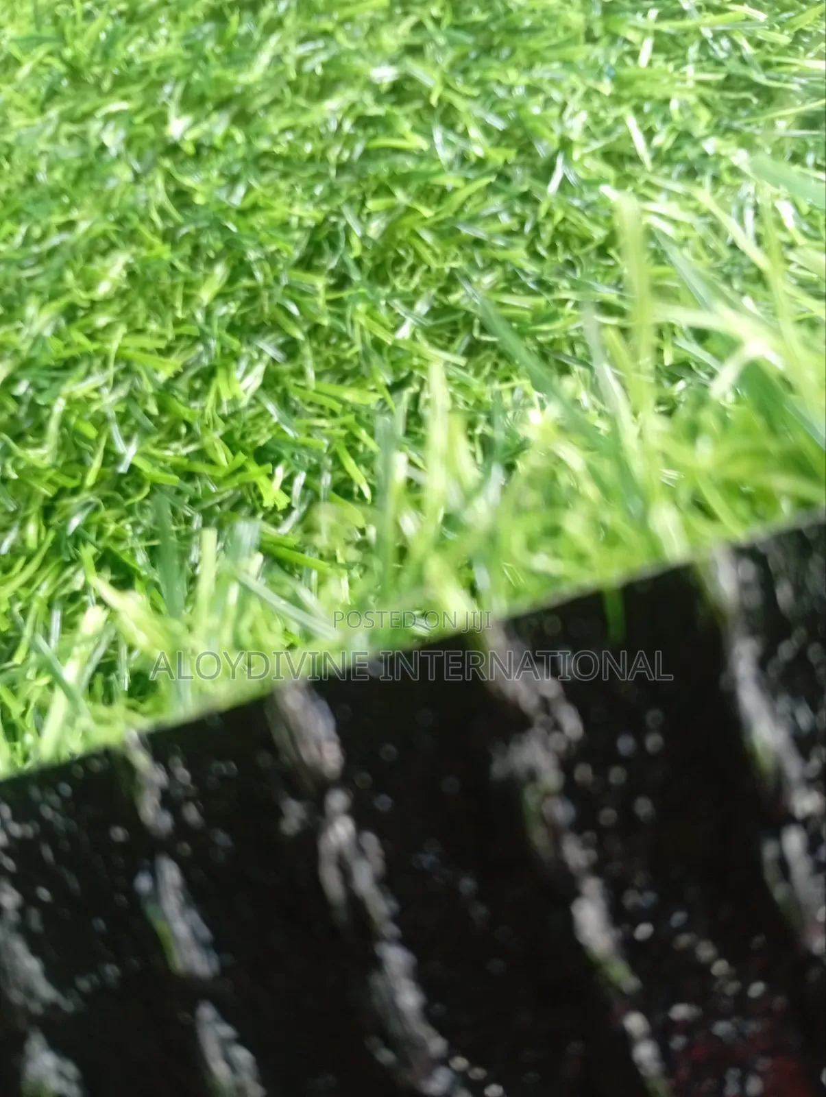 25mm Top Quality Standard Grass Carpet